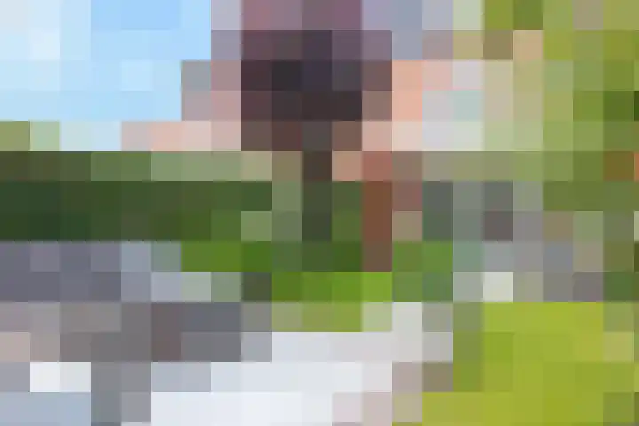 Duifkruid 17 Amersfoort thumbnail 40
