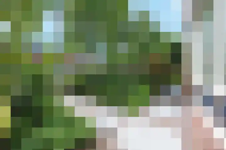 Duifkruid 17 Amersfoort thumbnail 42