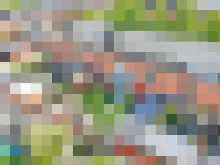 Duifkruid 17 Amersfoort thumbnail 45