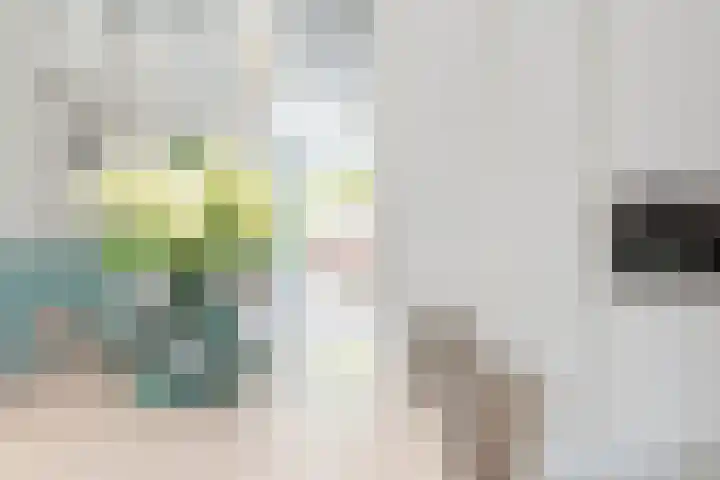 Duifkruid 17 Amersfoort thumbnail 5