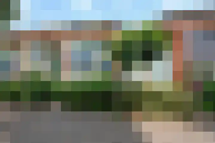 Duifkruid 17 Amersfoort thumbnail 52
