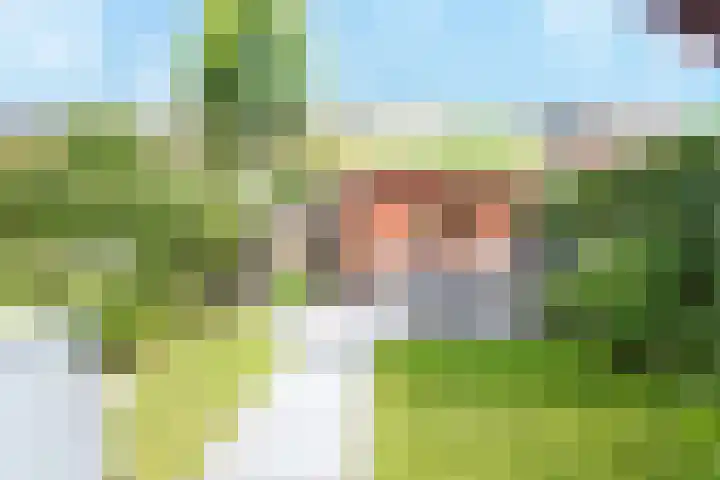 Duifkruid 17 Amersfoort thumbnail 7