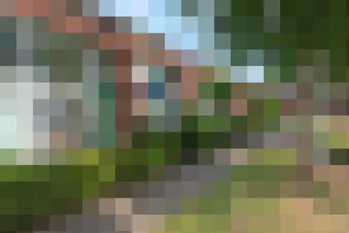 Duifkruid 17 Amersfoort thumbnail 8