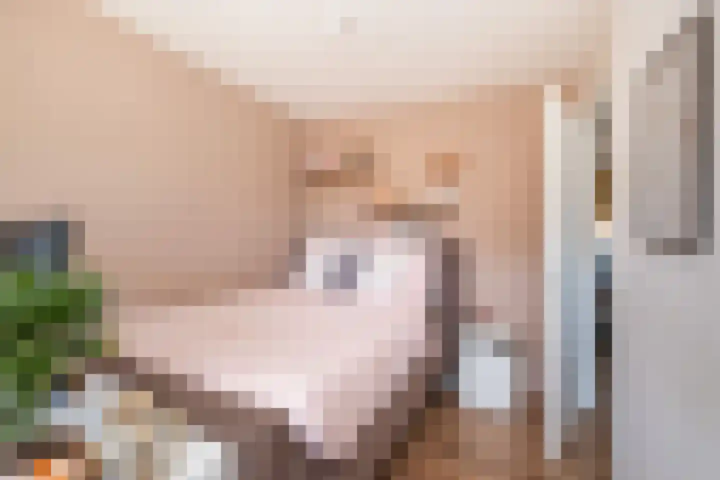 Duifkruid 18 Swifterbant thumbnail 17