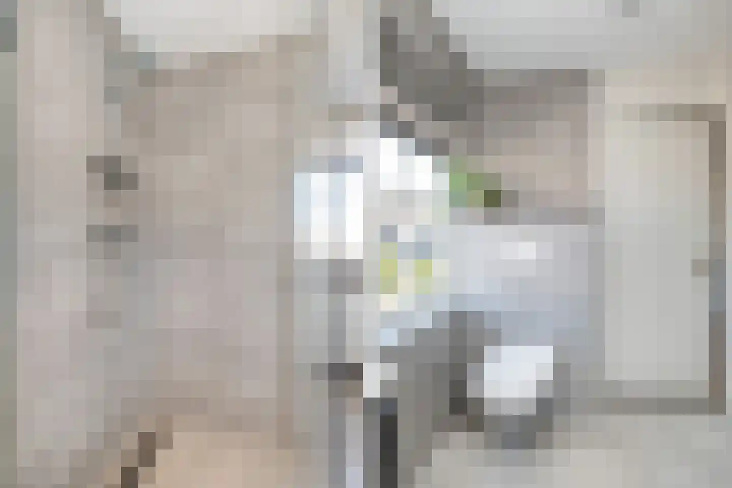 Duifkruid 18 Swifterbant thumbnail 22