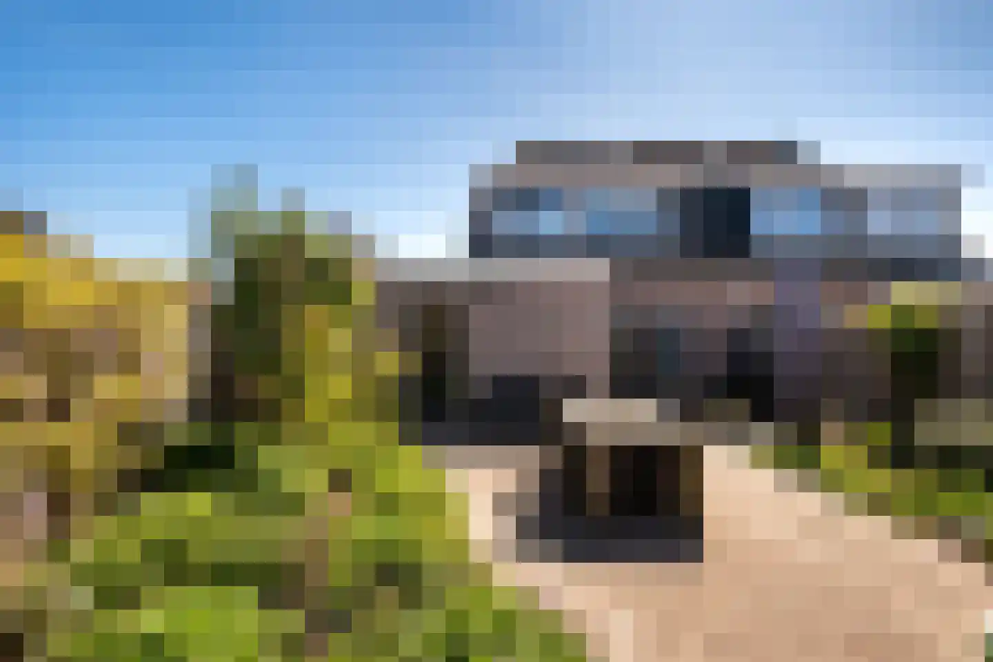 Duifkruid 18 Swifterbant thumbnail 26