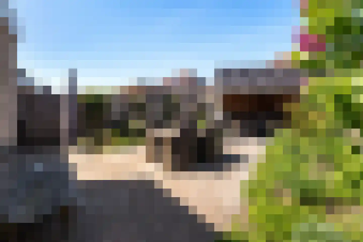 Duifkruid 18 Swifterbant thumbnail 27