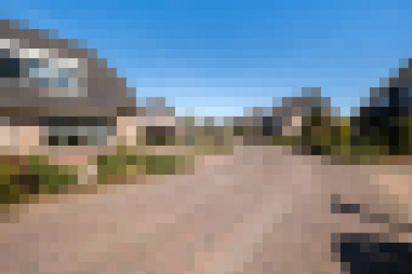 Duifkruid 18 Swifterbant thumbnail 33