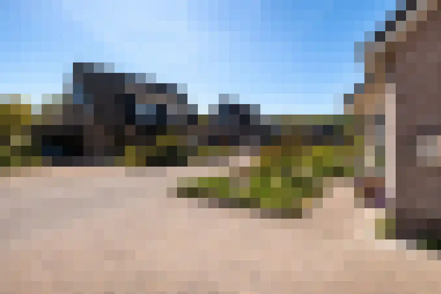 Duifkruid 18 Swifterbant thumbnail 34