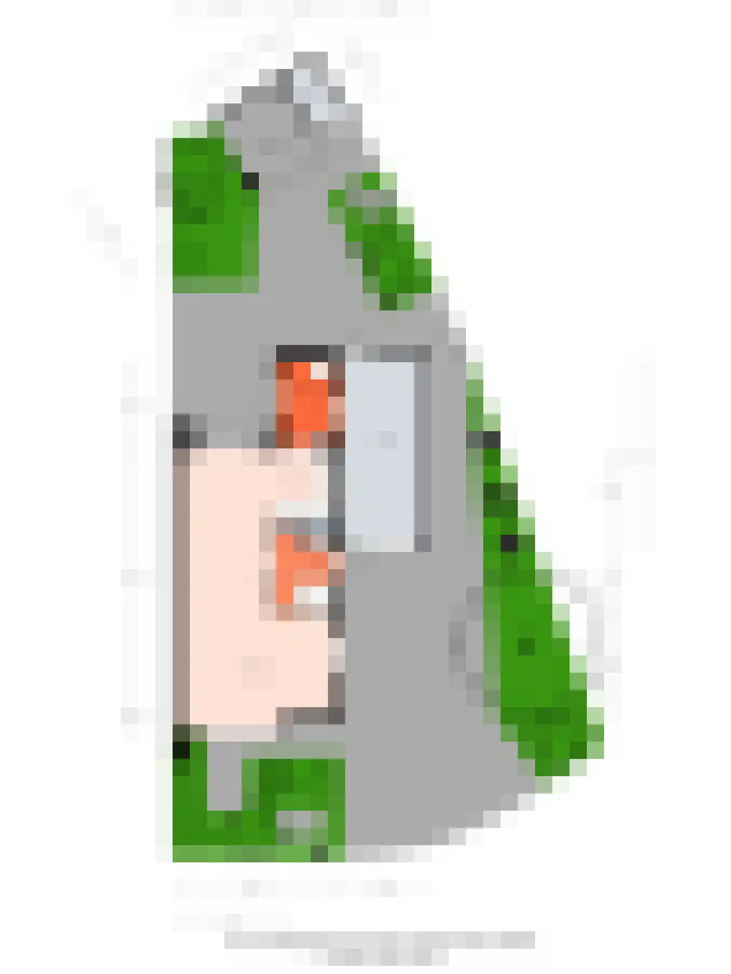 Duifkruid 18 Swifterbant thumbnail 35