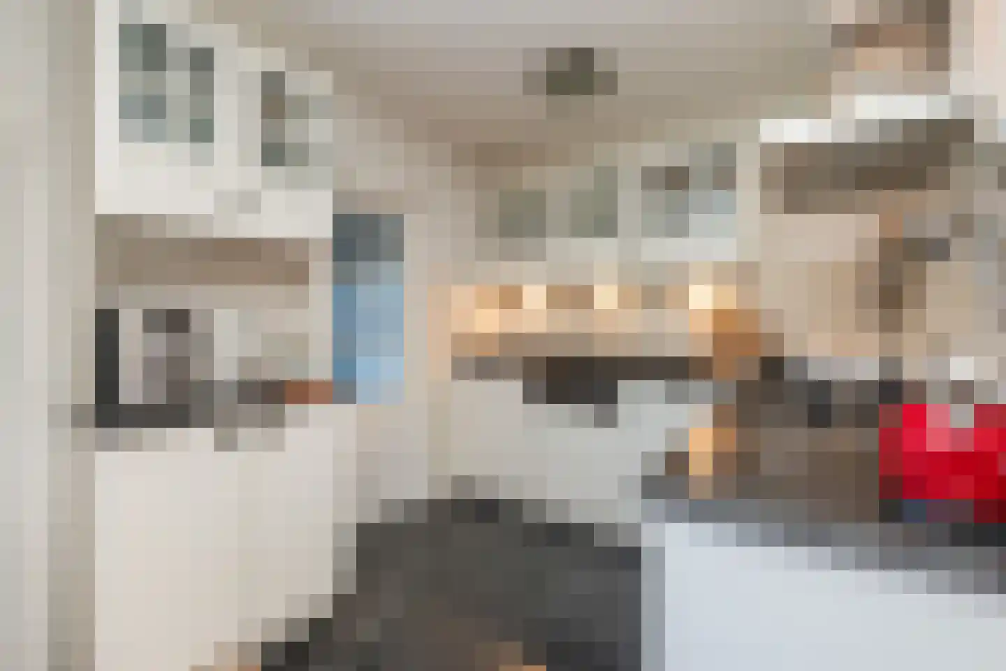 Duifkruid 18 Swifterbant thumbnail 4