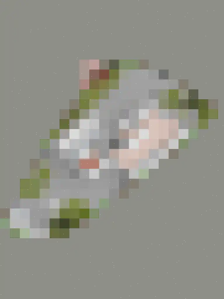 Duifkruid 18 Swifterbant thumbnail 40