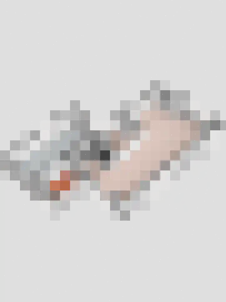 Duifkruid 18 Swifterbant thumbnail 41