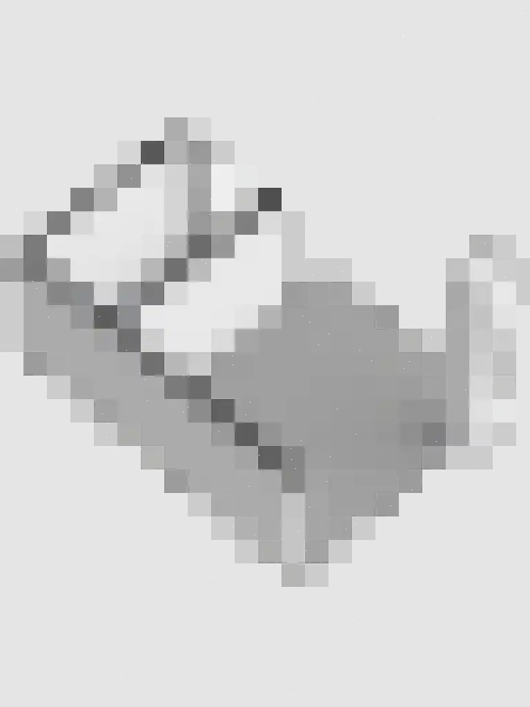 Duifkruid 18 Swifterbant thumbnail 44