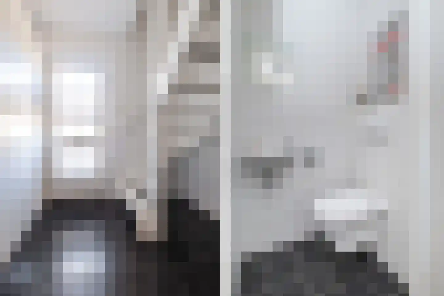 Duifkruid 18 Swifterbant thumbnail 6