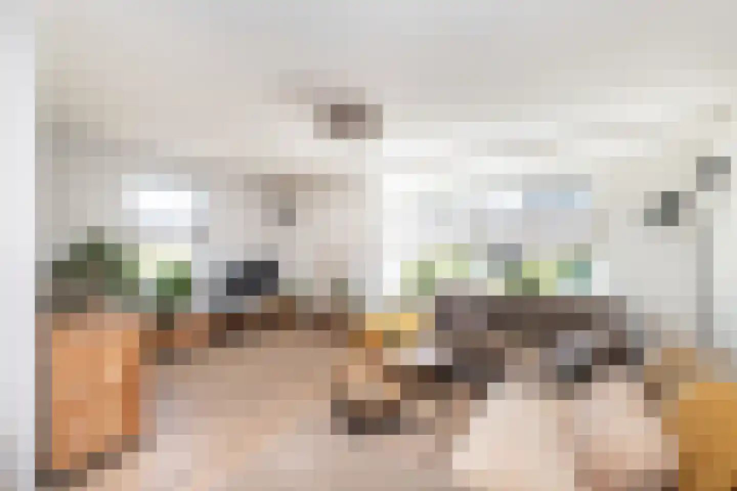 Duifkruid 18 Swifterbant thumbnail 8