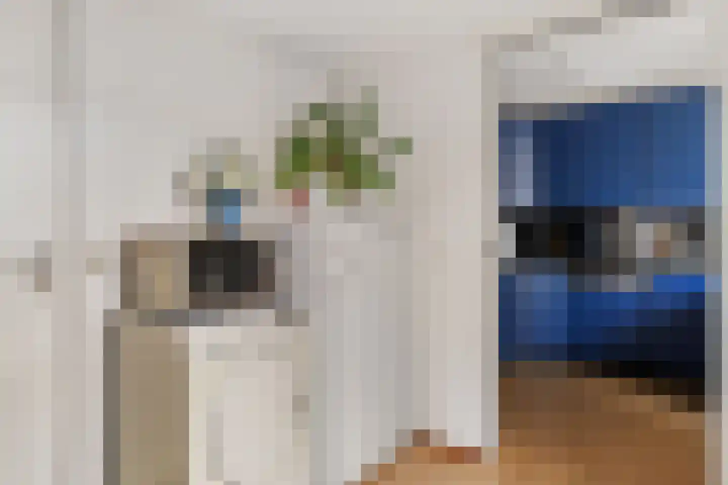 Duifkruid 23 Swifterbant thumbnail 20