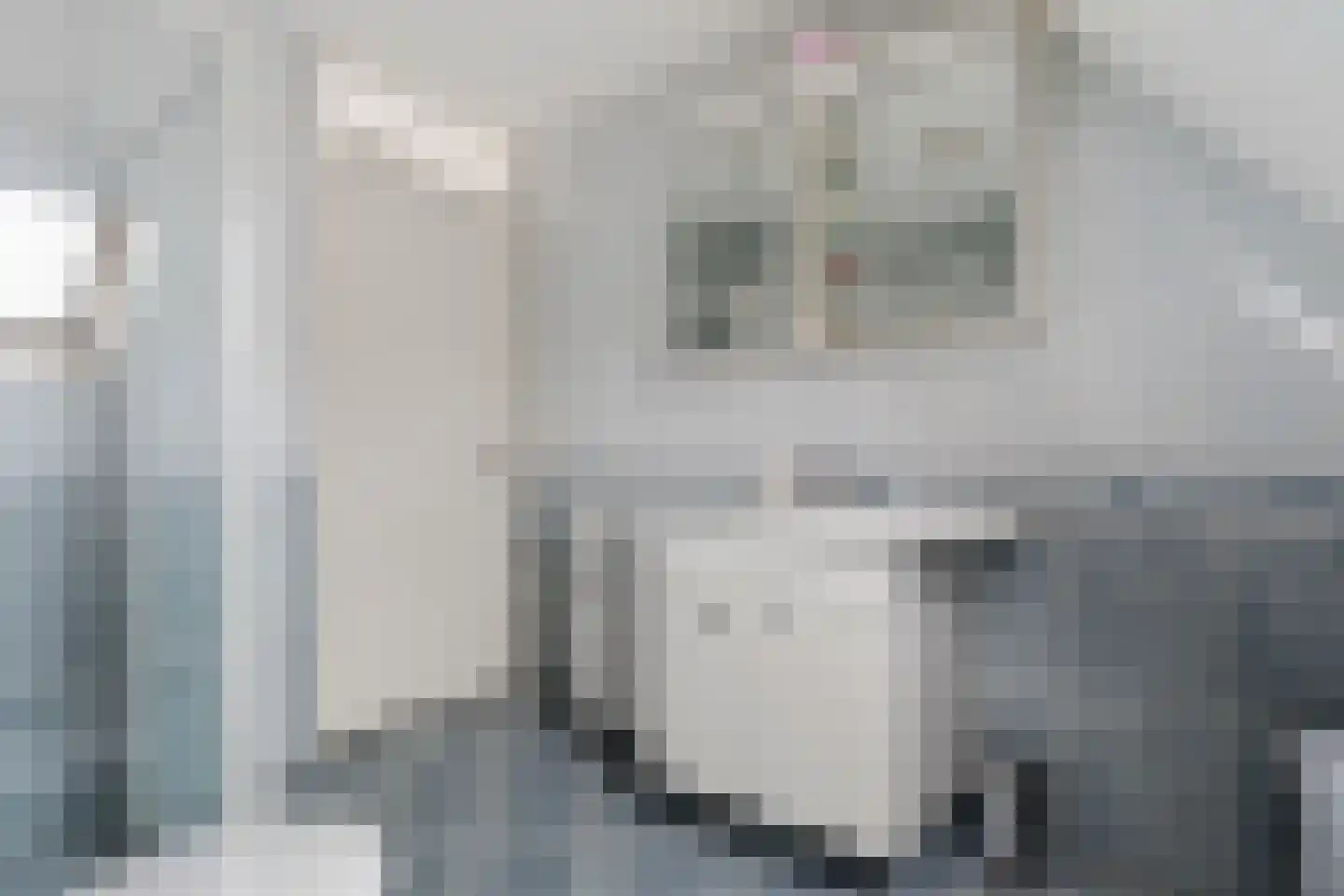 Duifkruid 23 Swifterbant thumbnail 23