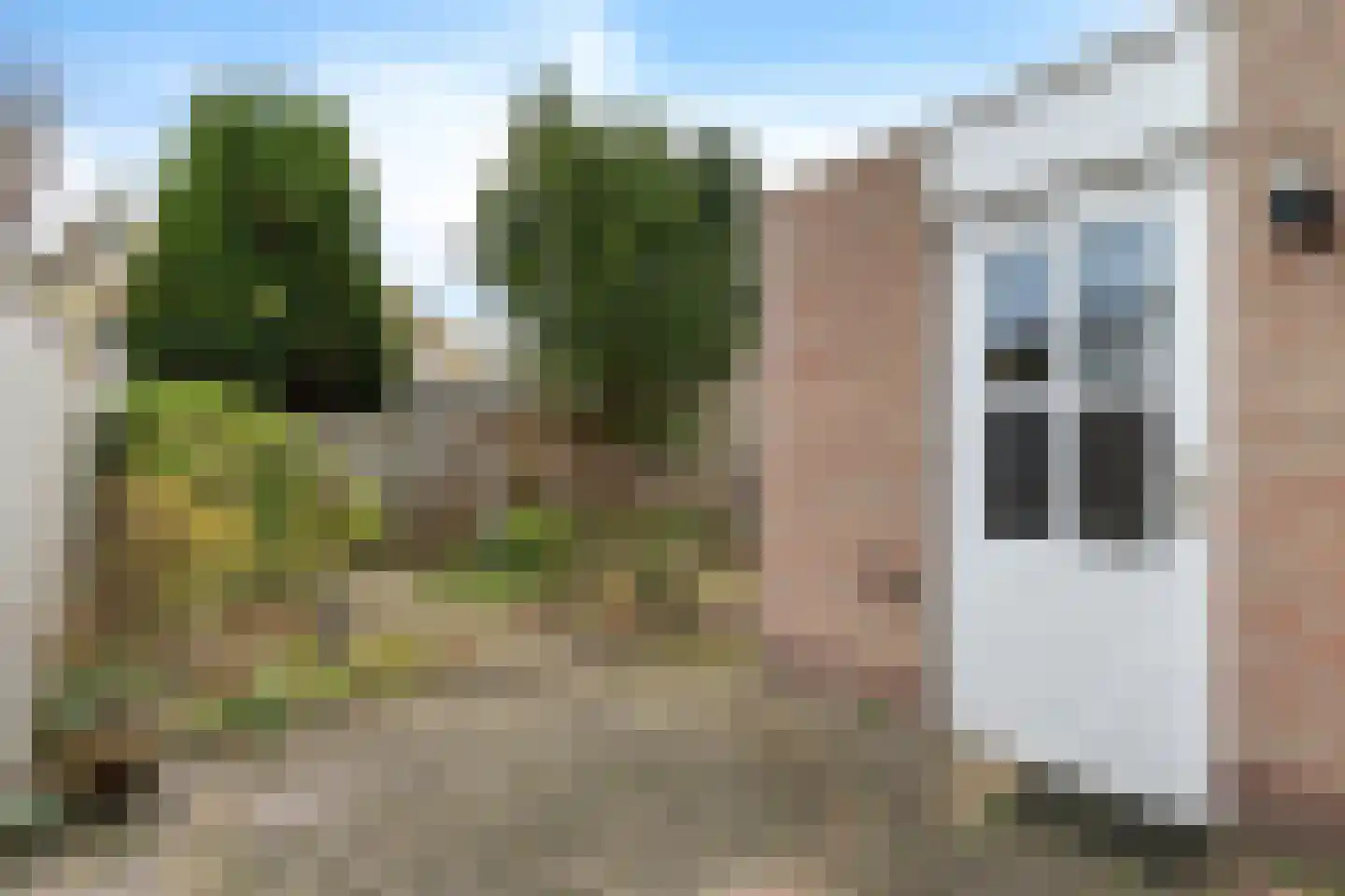 Duifkruid 23 Swifterbant thumbnail 32
