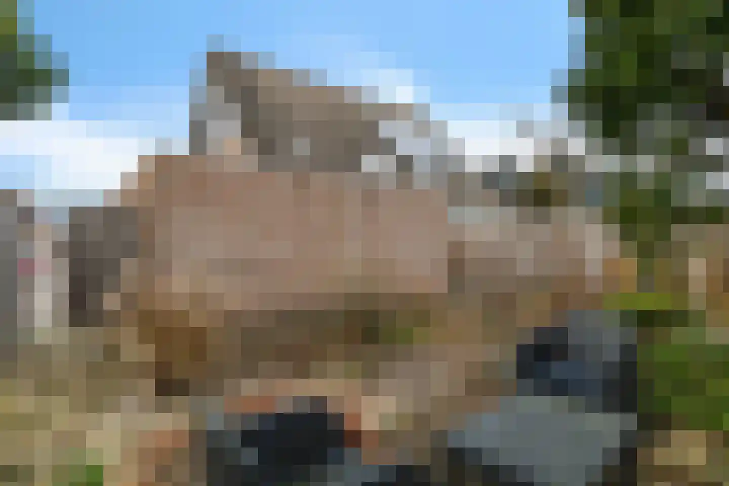 Duifkruid 23 Swifterbant thumbnail 37