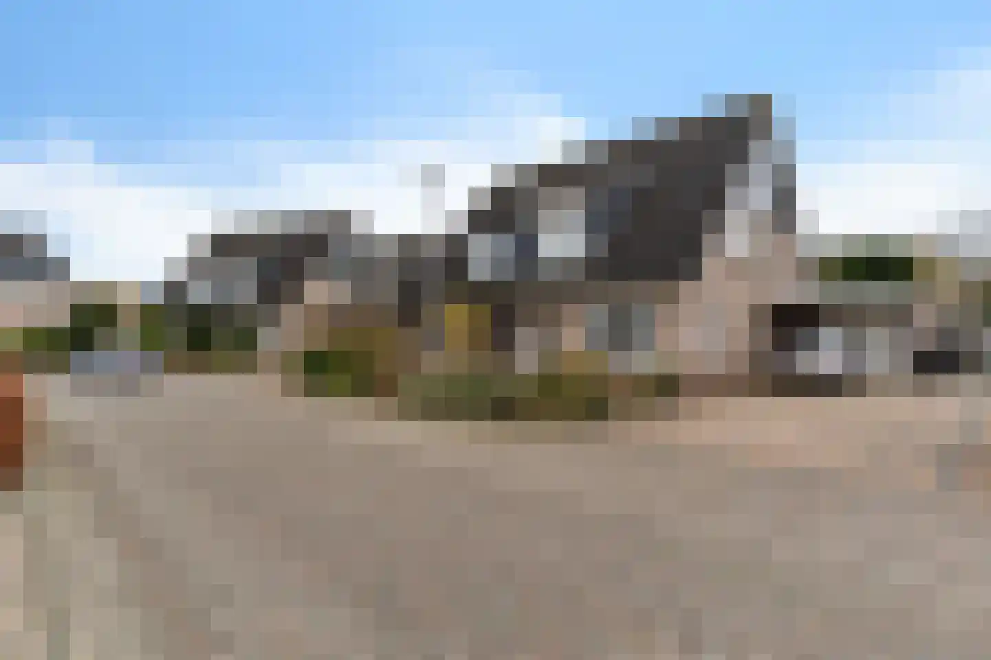 Duifkruid 23 Swifterbant thumbnail 39