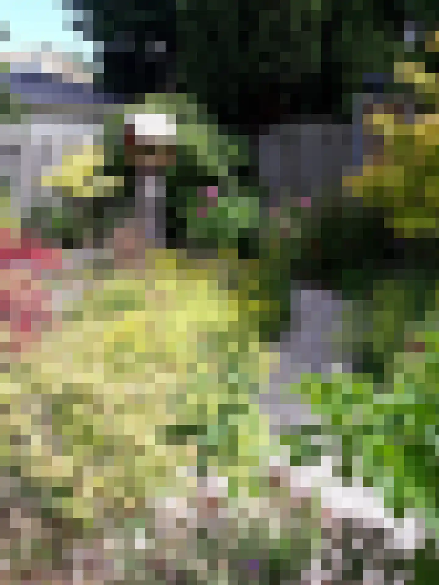 Duifkruid 23 Swifterbant thumbnail 41