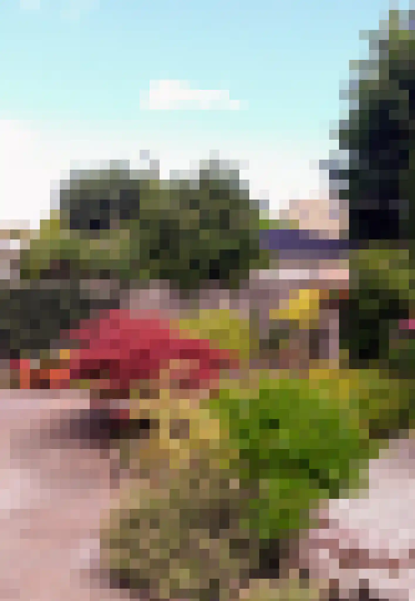 Duifkruid 23 Swifterbant thumbnail 43