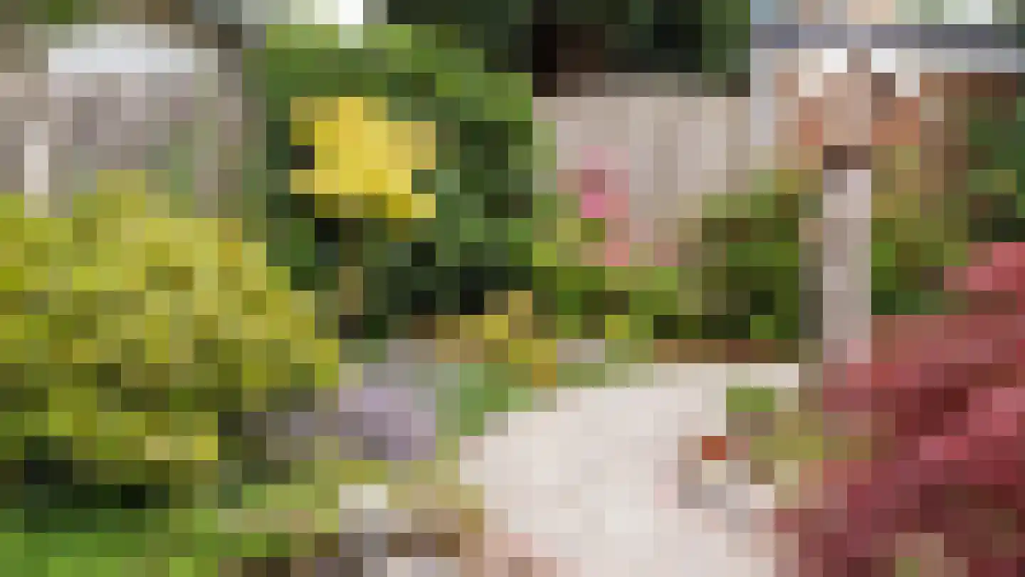 Duifkruid 23 Swifterbant thumbnail 44
