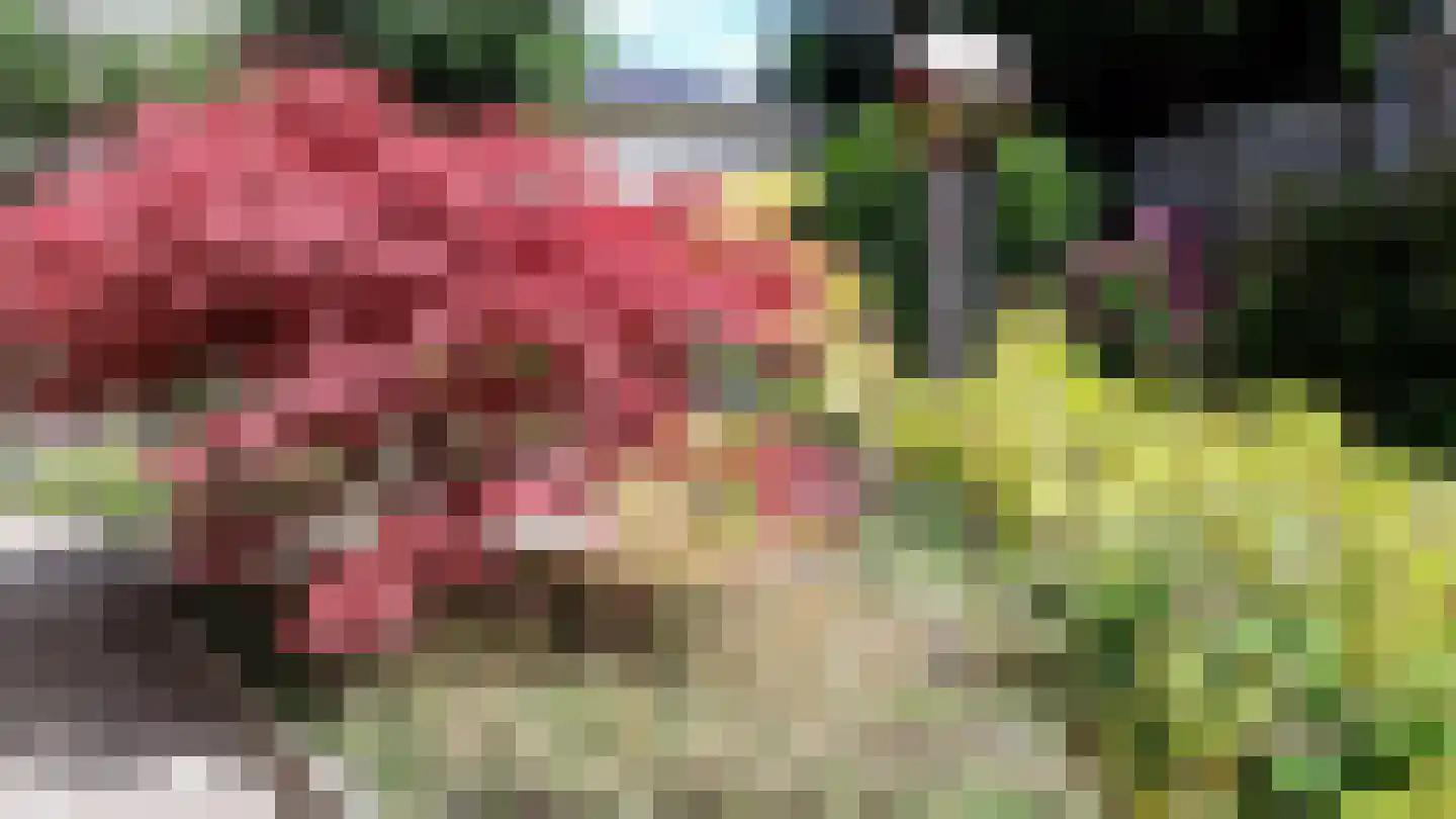Duifkruid 23 Swifterbant thumbnail 45