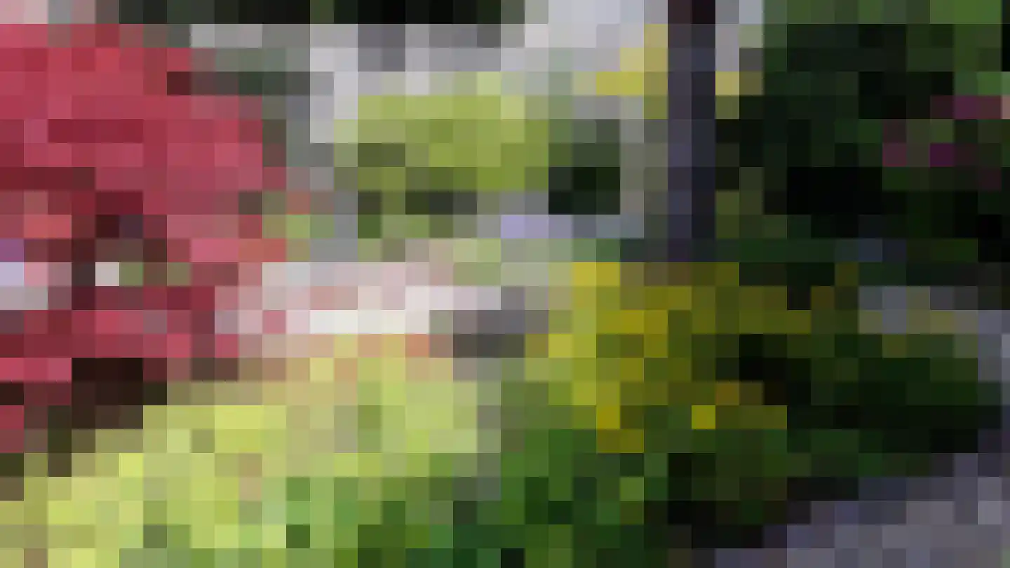 Duifkruid 23 Swifterbant thumbnail 46