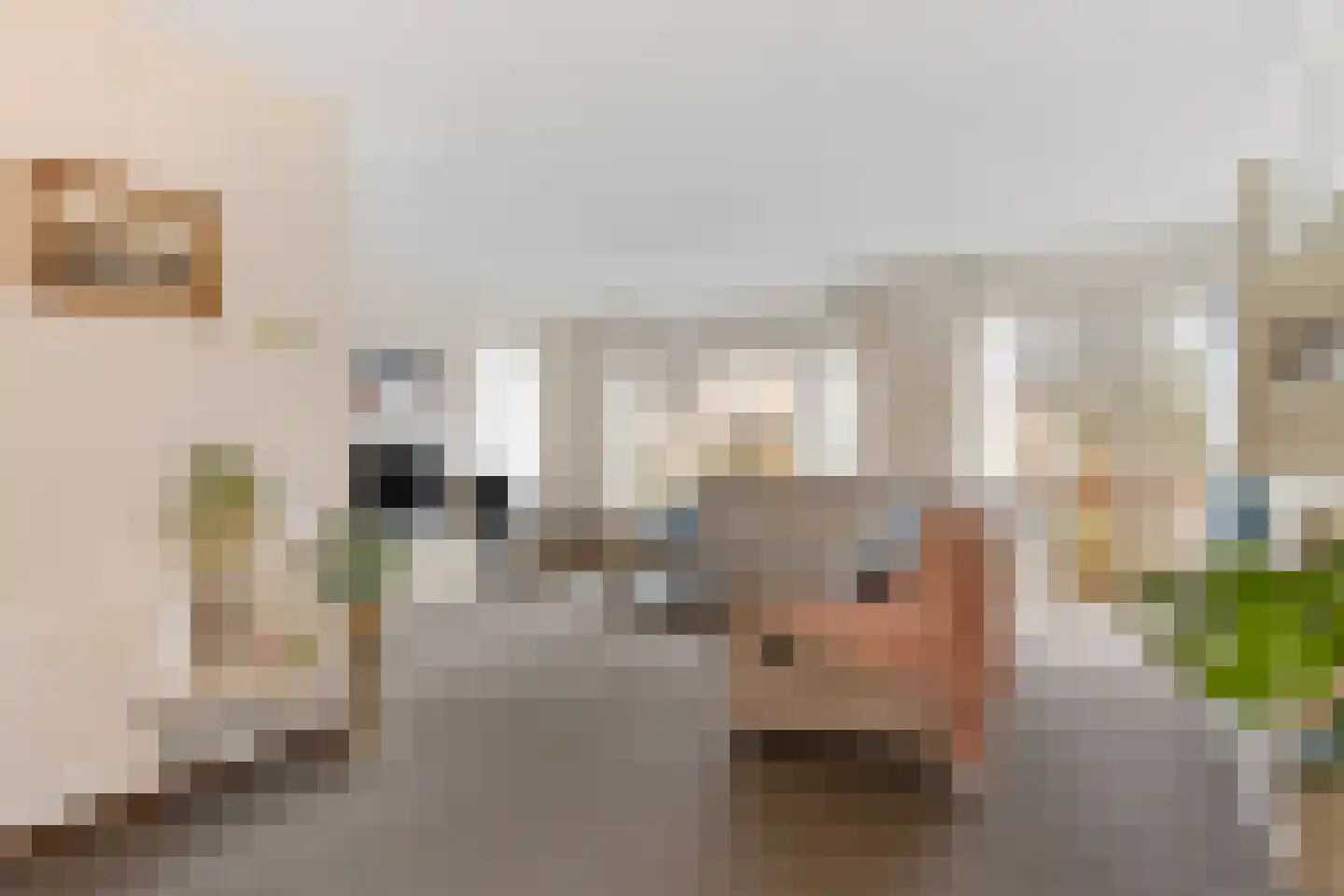 Duifkruid 23 Swifterbant thumbnail 7