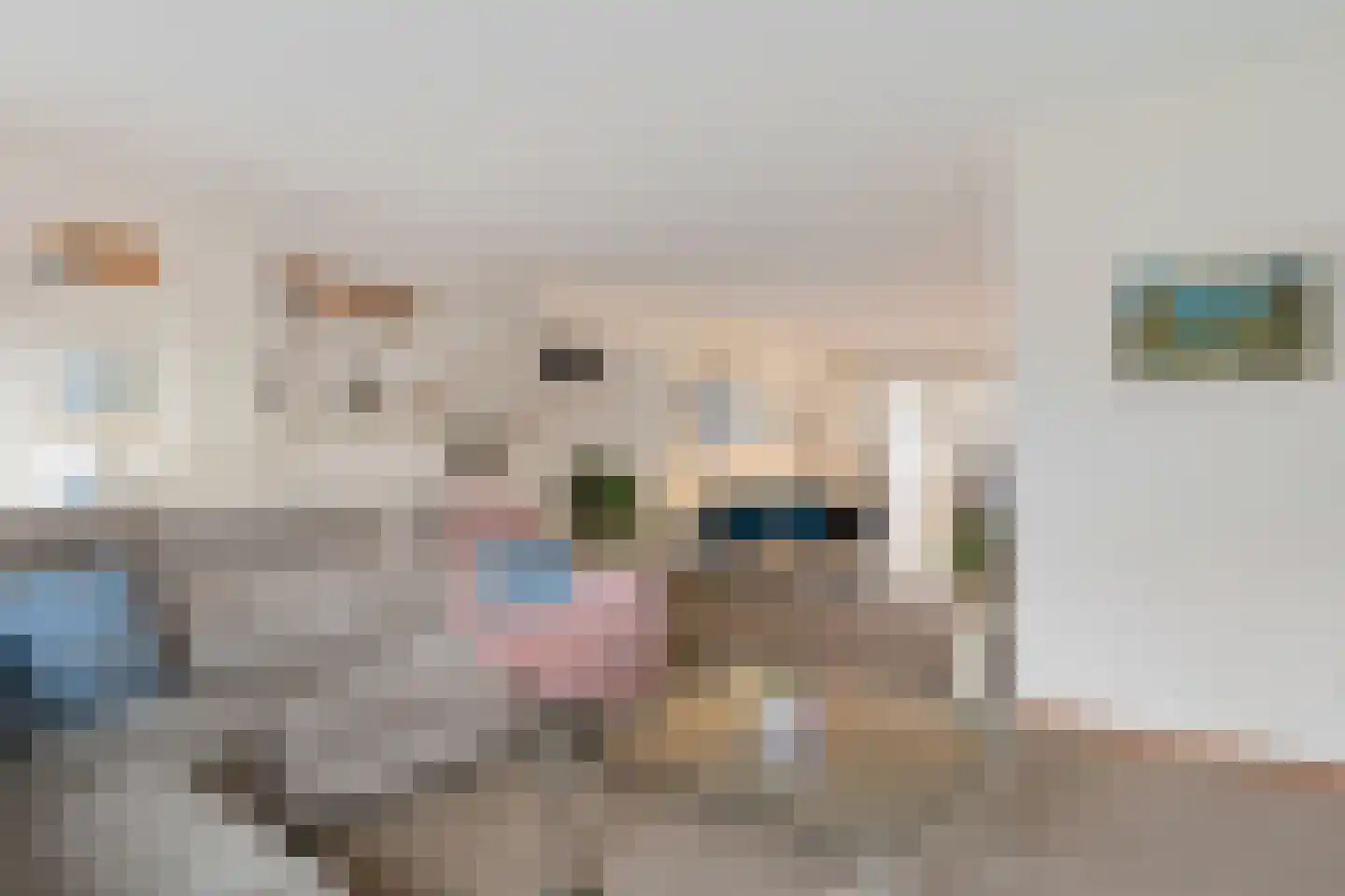 Duifkruid 23 Swifterbant thumbnail 9