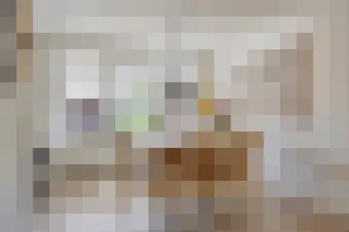 Duifkruid 24 Tiel thumbnail 11