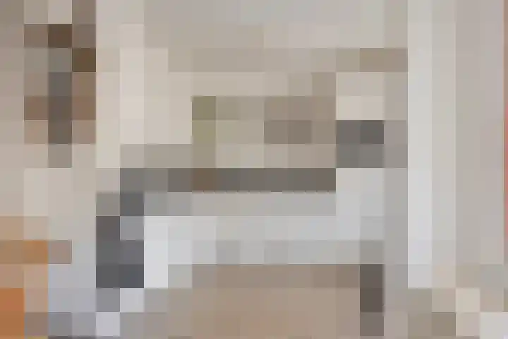 Duifkruid 24 Tiel thumbnail 13