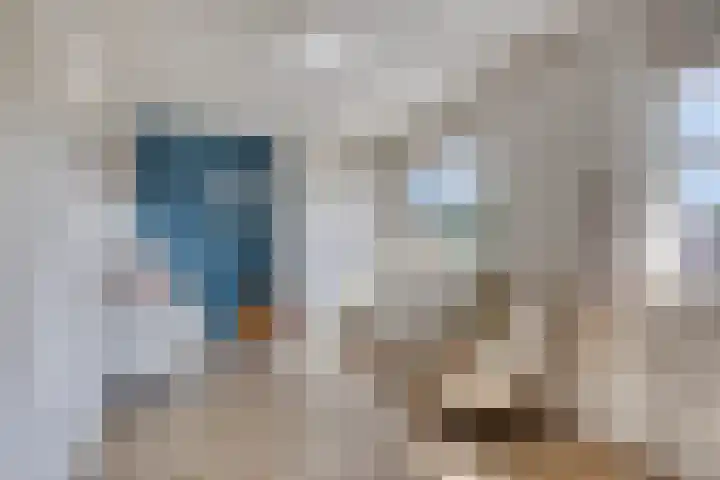 Duifkruid 24 Tiel thumbnail 20