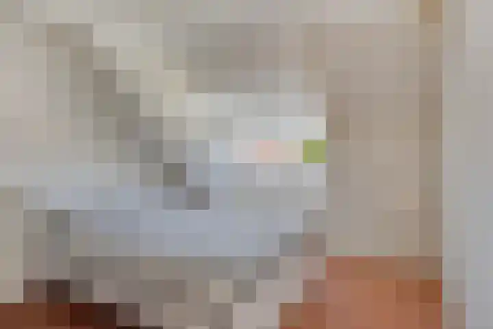 Duifkruid 24 Tiel thumbnail 24