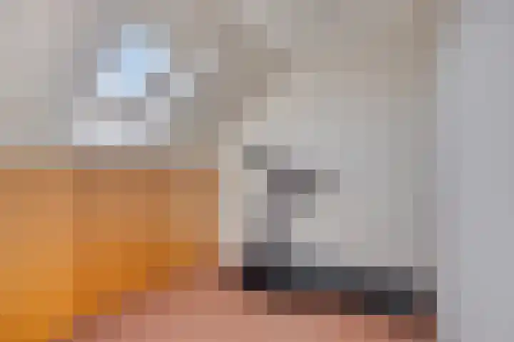 Duifkruid 24 Tiel thumbnail 26