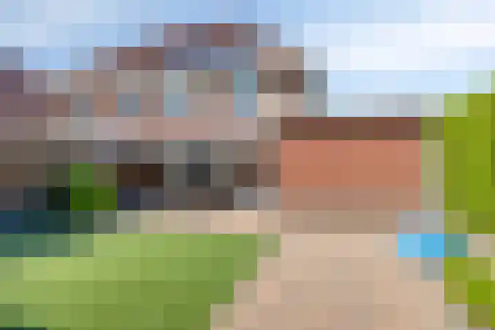 Duifkruid 24 Tiel thumbnail 29