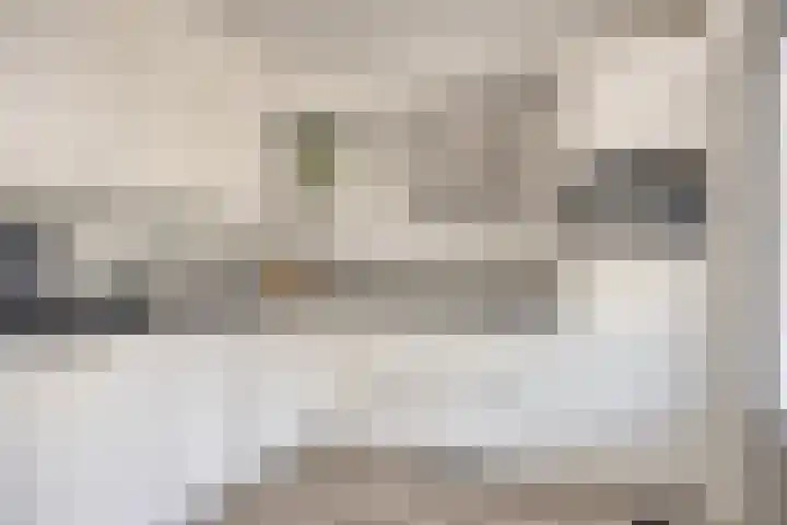 Duifkruid 24 Tiel foto 3