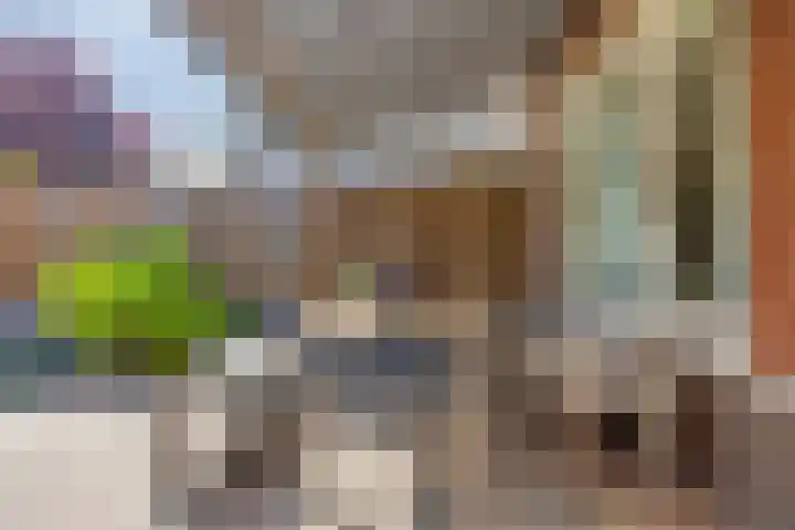 Duifkruid 24 Tiel thumbnail 31