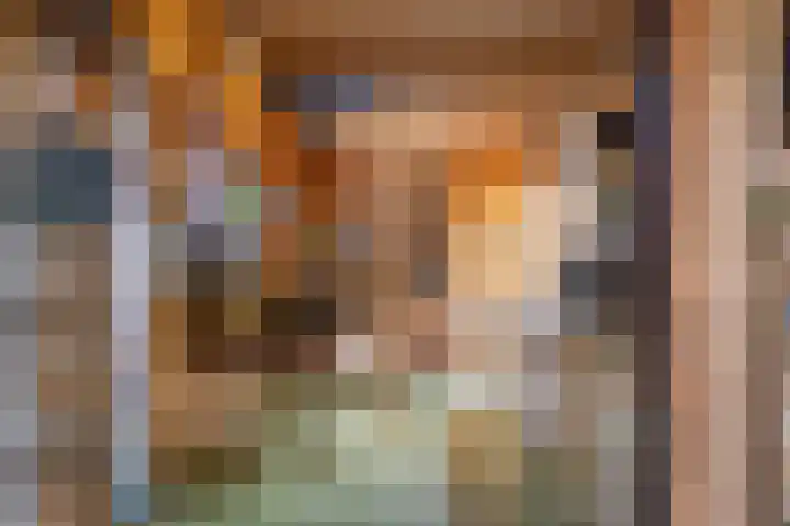 Duifkruid 24 Tiel thumbnail 33