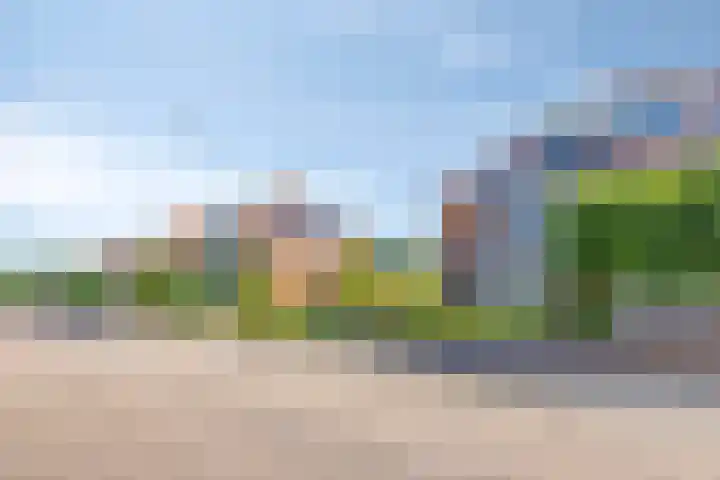 Duifkruid 24 Tiel thumbnail 34