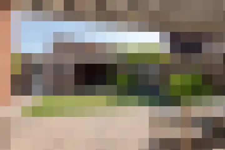 Duifkruid 24 Tiel thumbnail 4