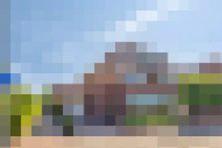 Duifkruid 24 Tiel thumbnail 40