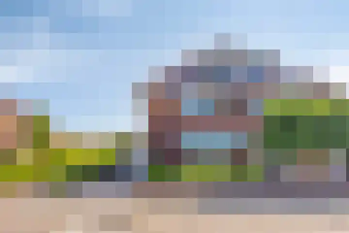 Duifkruid 24 Tiel thumbnail 5