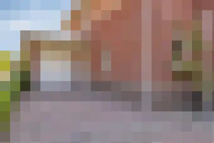 Duifkruid 24 Tiel thumbnail 6