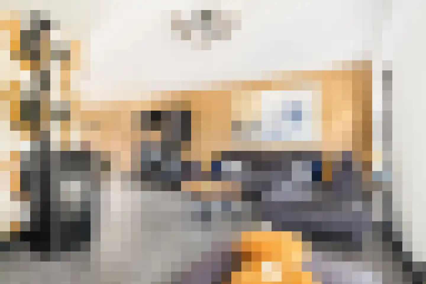 Duifkruid 33 Swifterbant thumbnail 12