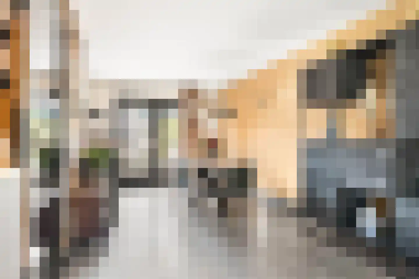 Duifkruid 33 Swifterbant thumbnail 13