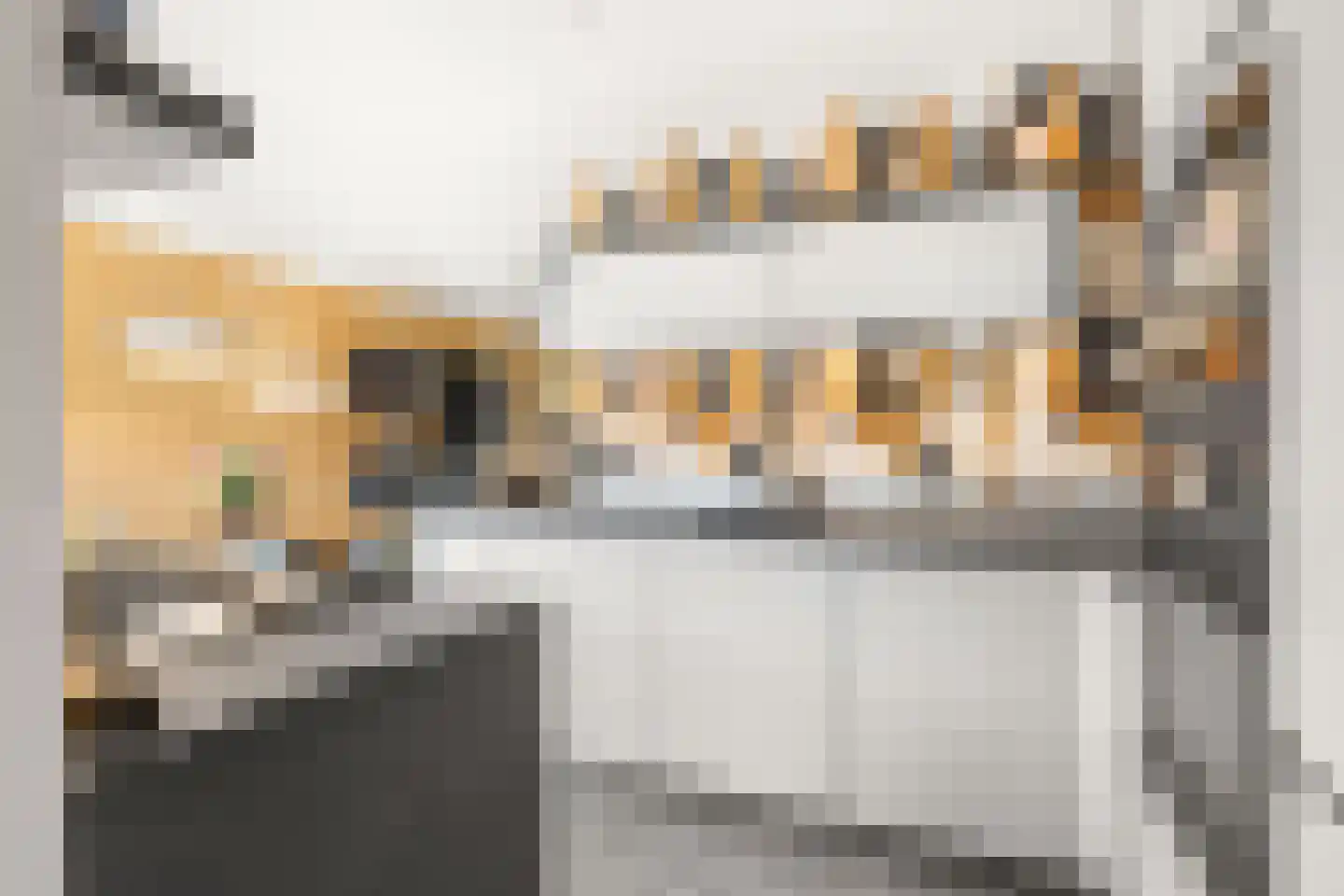 Duifkruid 33 Swifterbant thumbnail 15