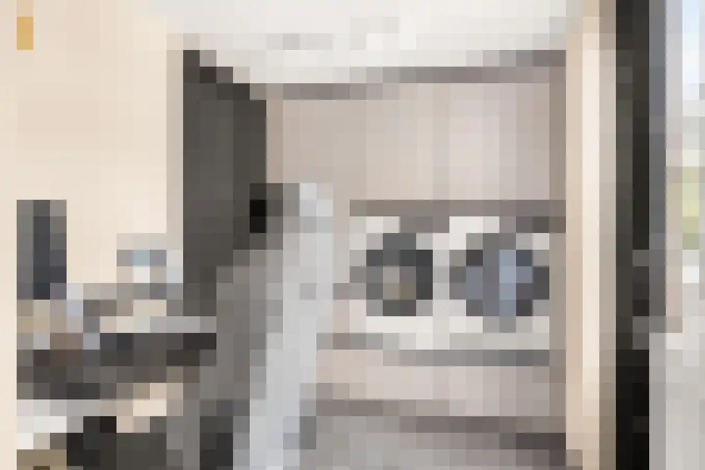 Duifkruid 33 Swifterbant thumbnail 16